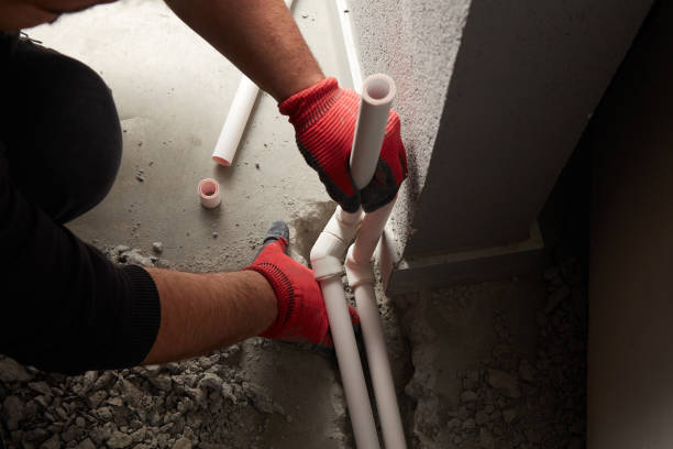 Best Clogged Drain Plumber  in Andalusia, IL