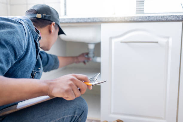 Best Emergency Plumbing Repair  in Andalusia, IL