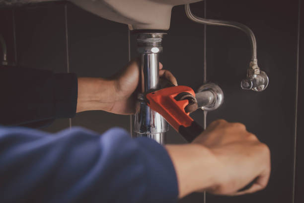 Best Affordable Plumbing Services  in Andalusia, IL